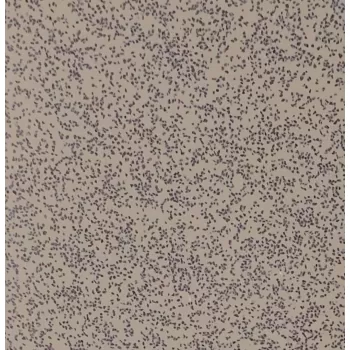 سنگ کابینت کورین سورنا (کد ۱۰۸)